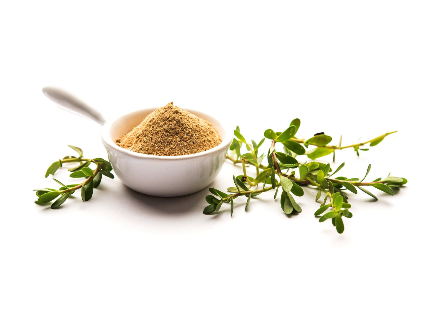 Brahmi Wirkung – Wie das ayurvedische Kraut Konzentration & mentale Klarheit unterstützt