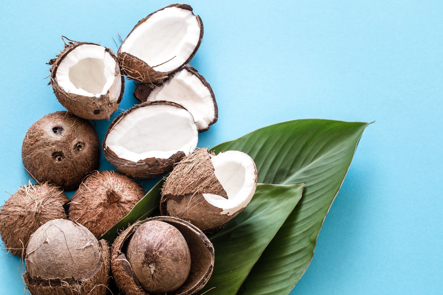 Caprylsäure Wirkung: Wie mittelkettige Fettsäuren Gehirn & mentale Energie unterstützen