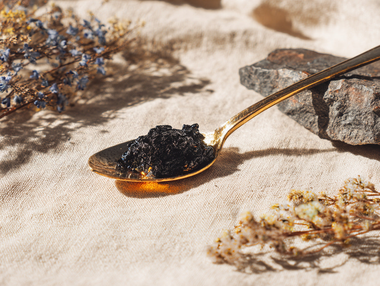 Shilajit Kapseln – Wirkung, Anwendung & reines Himalaya Shilajit