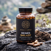 Himalaya Shilajit