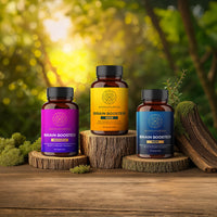 Brain Booster Bundle