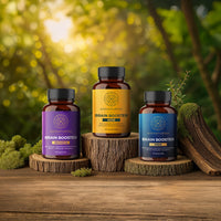 Brain Booster Bundle