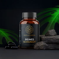 Reines Schungit